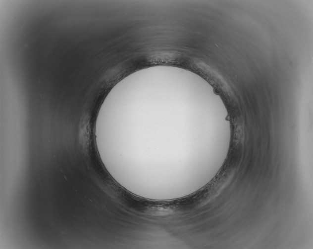 X0000101700498200807311435