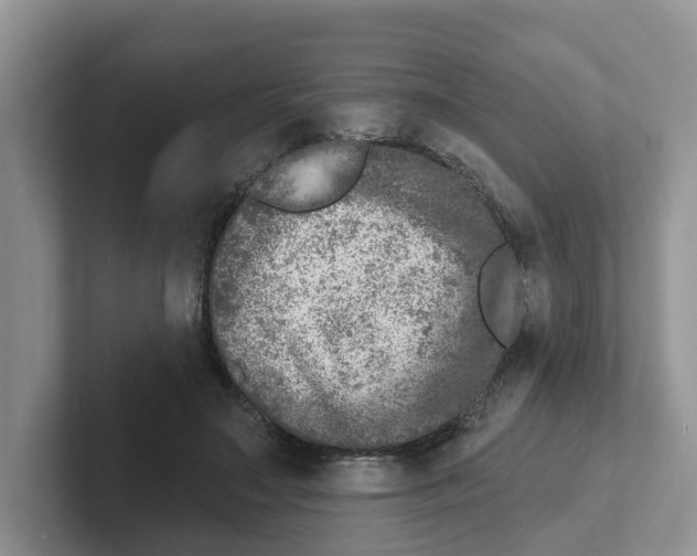 X0000101700499200807311435