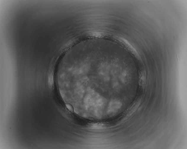 X0000101700500200807311434