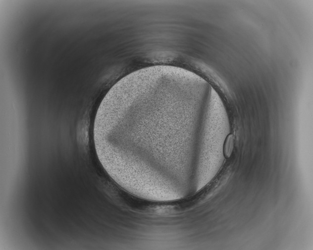 X0000101700501200807311434