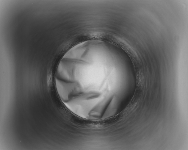X0000101700502200807311434