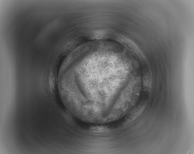 X0000101700503200807311434