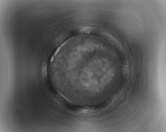 X0000101700504200807311434