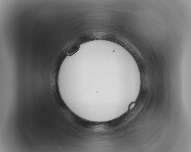 X0000101700505200807311434