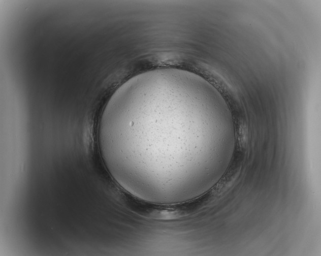 X0000101700506200807311434