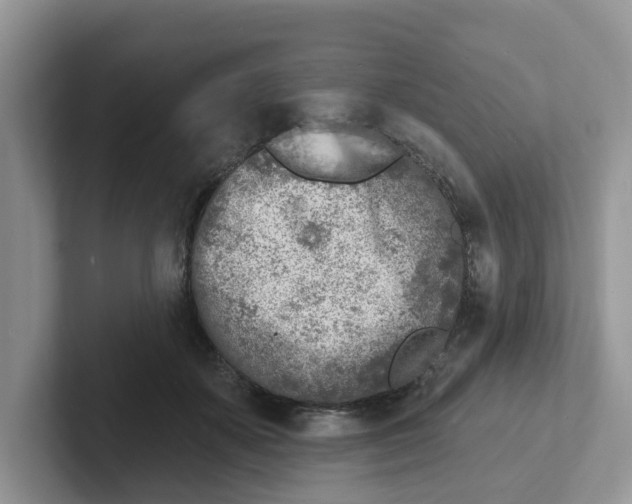 X0000101700507200807311434