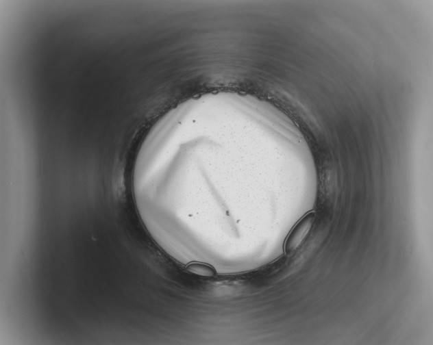 X0000101700508200807311434