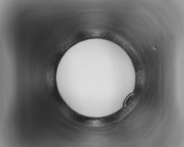 X0000101700509200807311434
