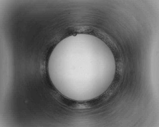 X0000101700510200807311434