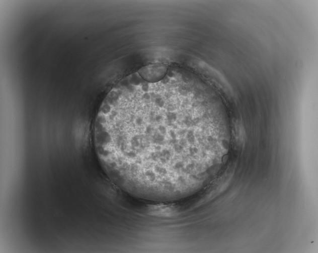X0000101700511200807311434