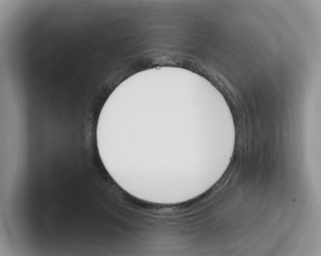 X0000101700513200807311434