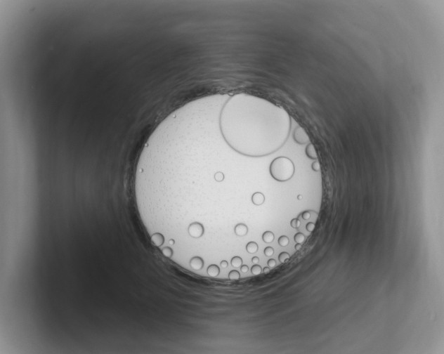 X0000101700515200807311434