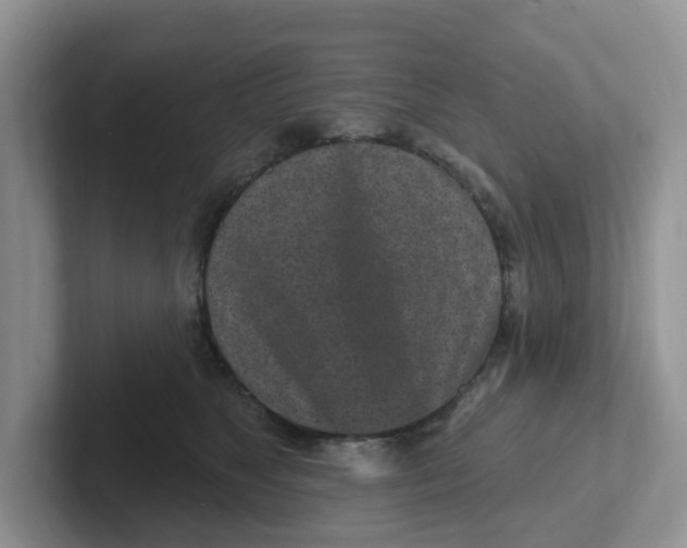 X0000101700517200807311434
