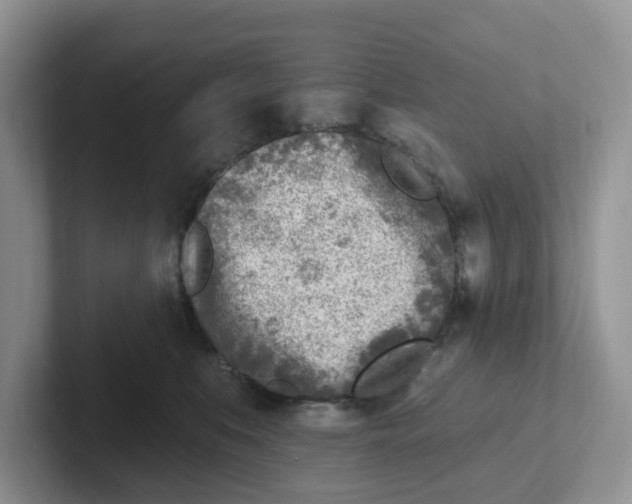 X0000101700519200807311434
