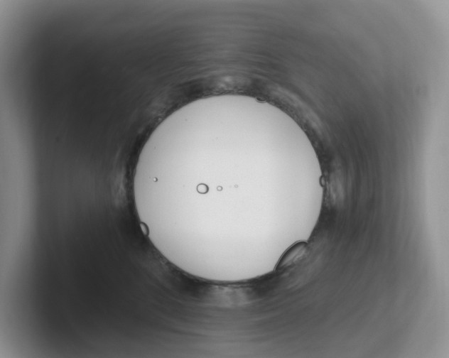 X0000101700520200807311434