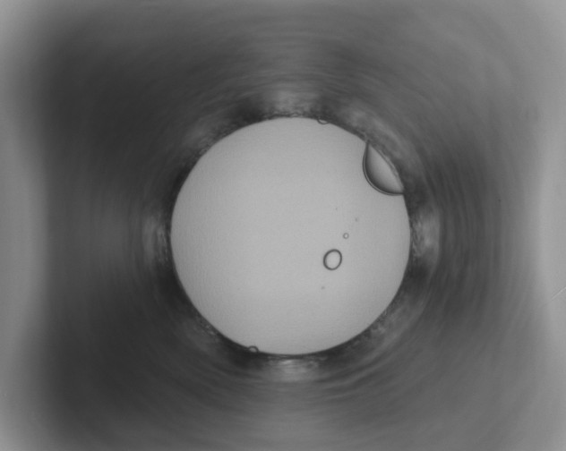 X0000101700522200807311434