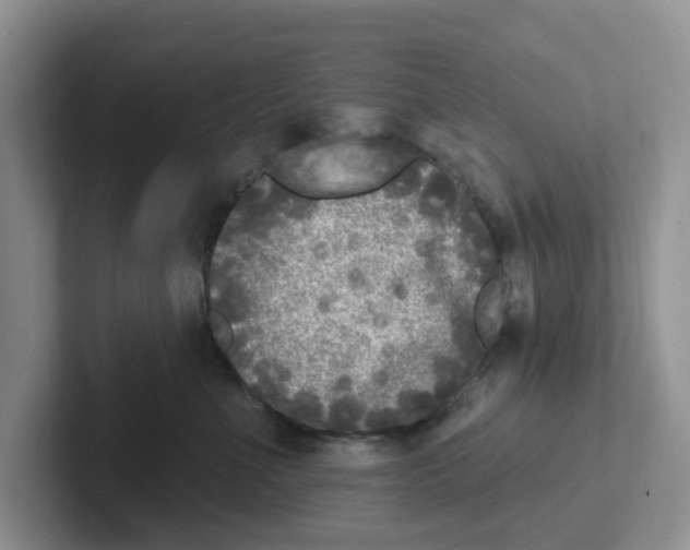 X0000101700523200807311434