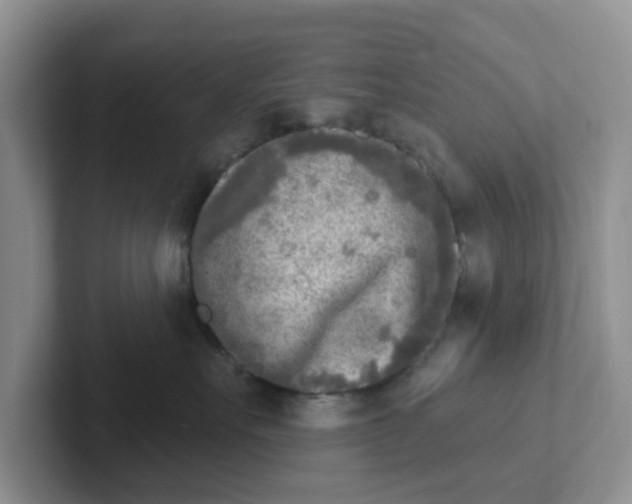 X0000101700527200807311434
