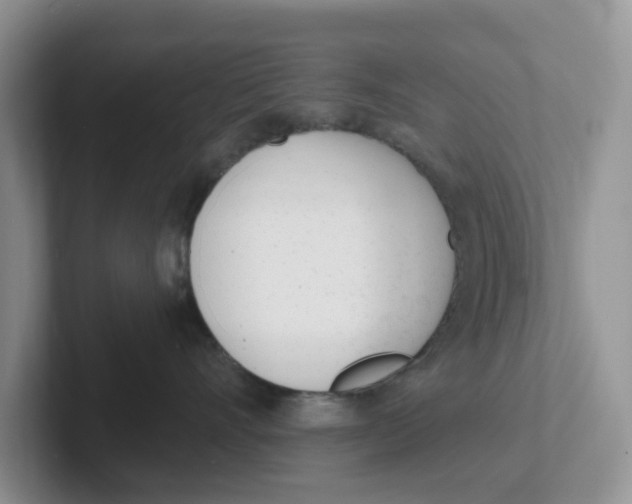 X0000101700528200807311434