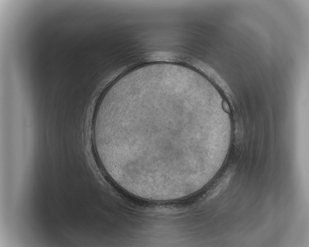 X0000101700529200807311434