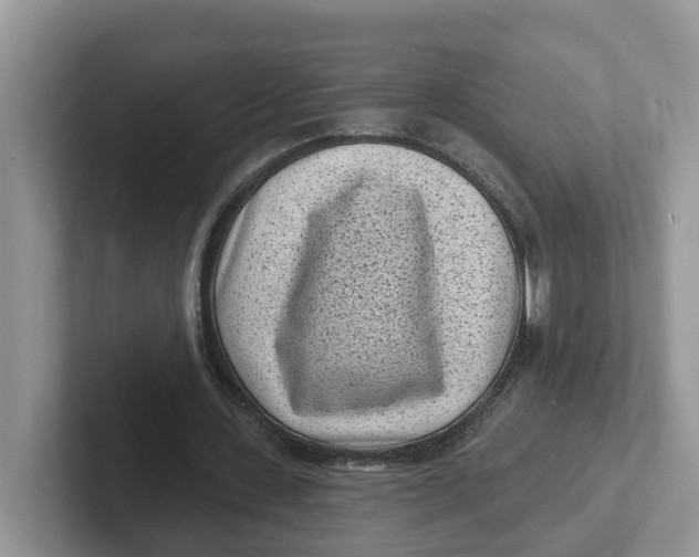 X0000101700531200807311434