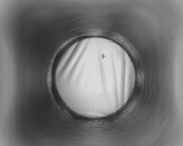 X0000101700532200807311434