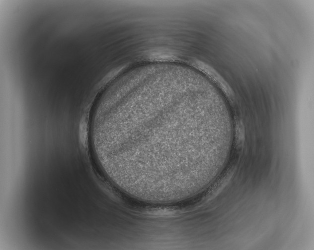 X0000101700533200807311434