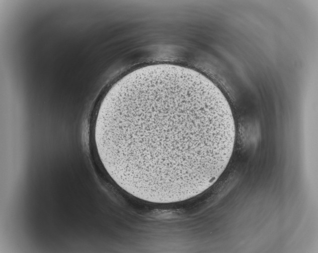 X0000101700534200807311434