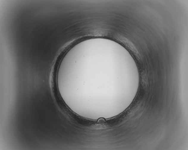 X0000101700536200807311434