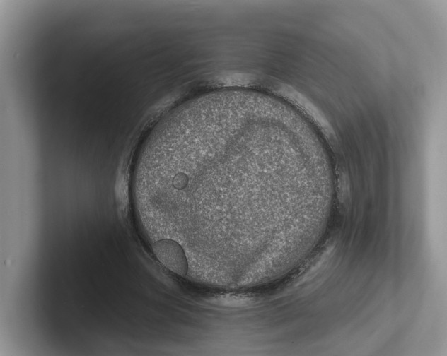 X0000101700537200807311434