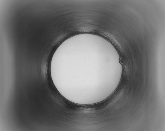 X0000101700539200807311434