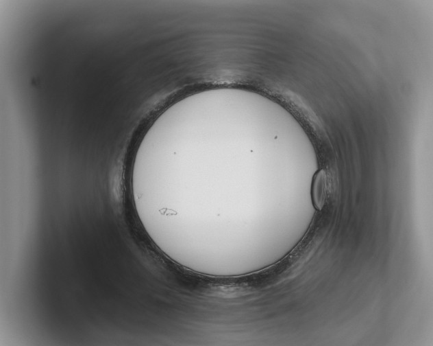 X0000101700540200807311434