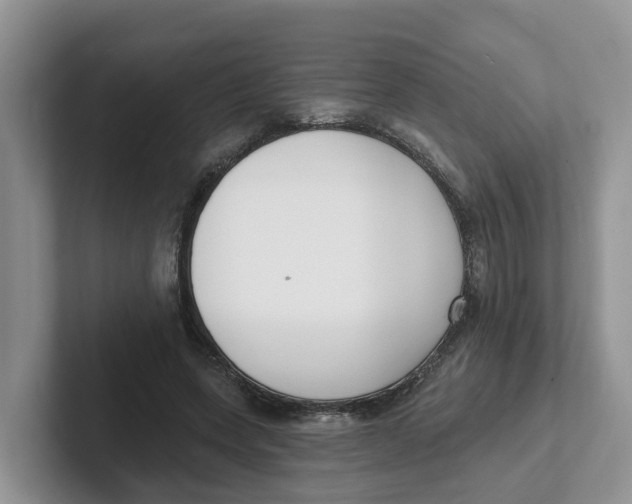 X0000101700543200807311434