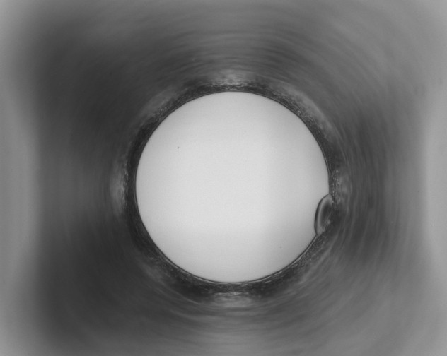 X0000101700544200807311434