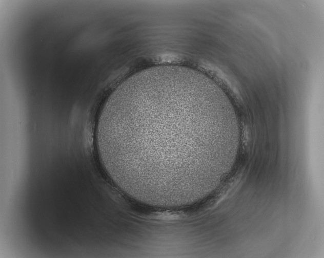 X0000101700545200807311434