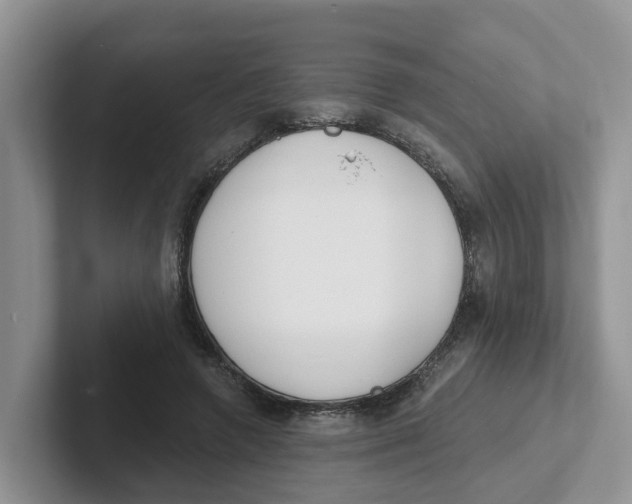 X0000101700546200807311434