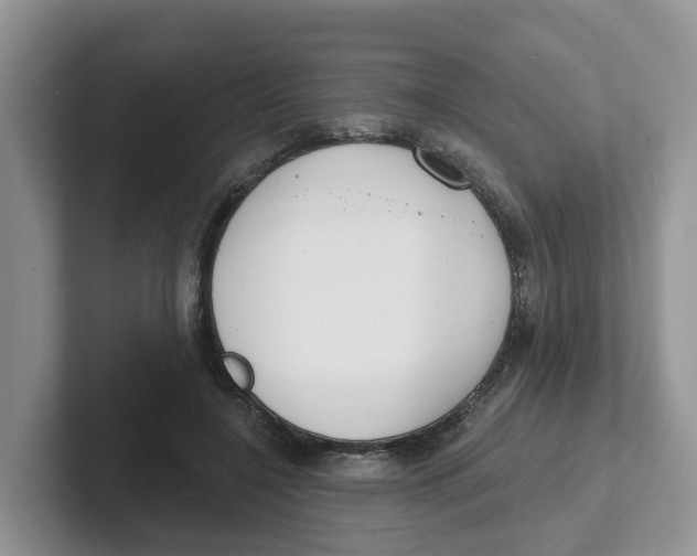 X0000101700548200807311434