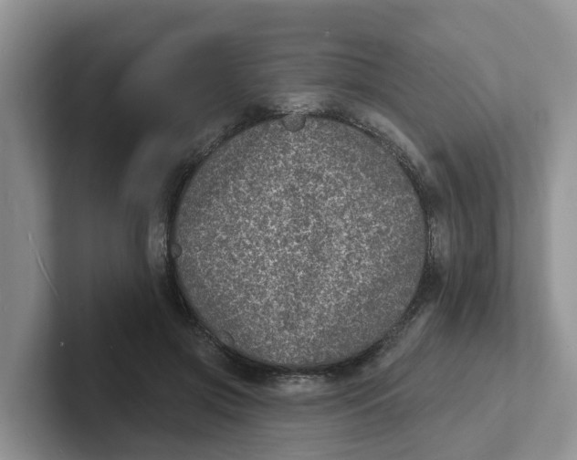 X0000101700549200807311434