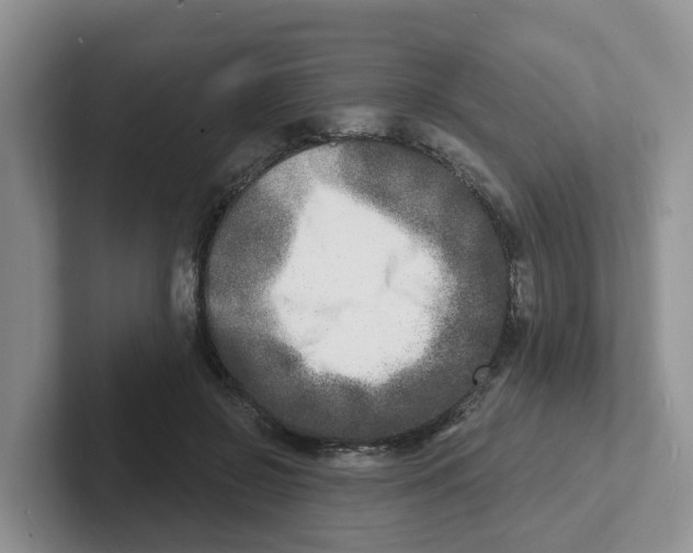 X0000101700550200807311434