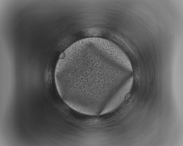 X0000101700551200807311434
