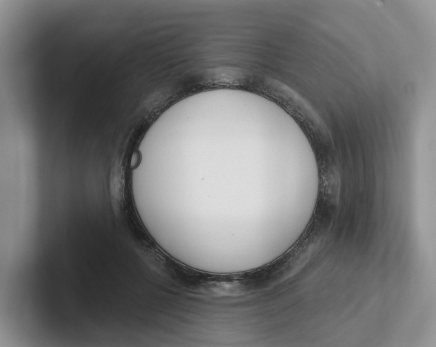 X0000101700552200807311434