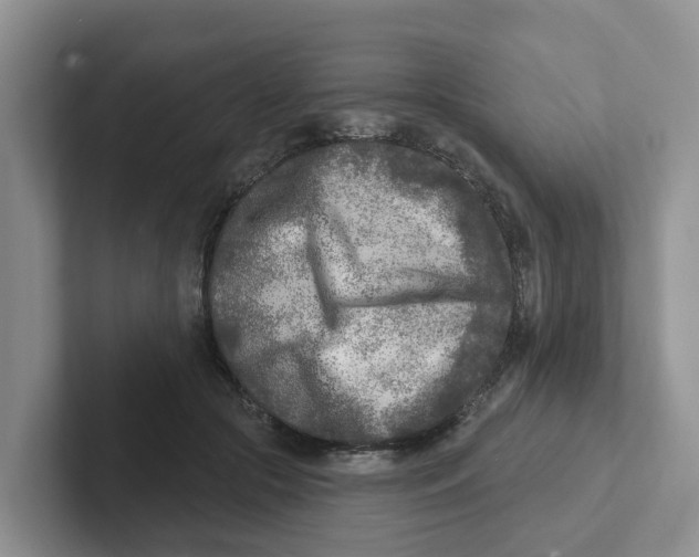 X0000101700553200807311434
