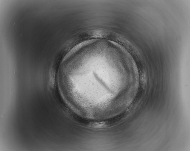 X0000101700554200807311434