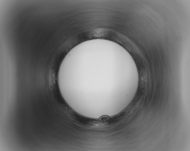 X0000101700555200807311434