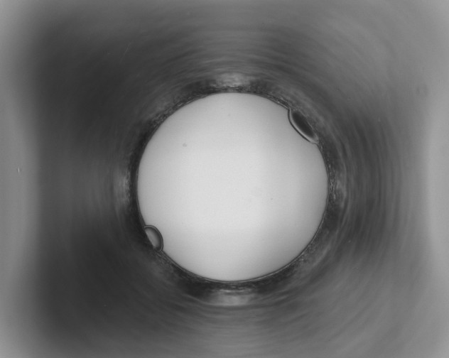X0000101700556200807311434