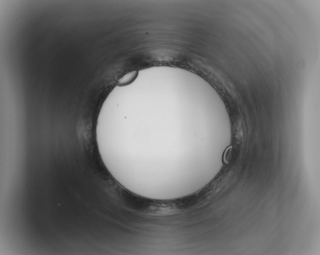 X0000101700559200807311434