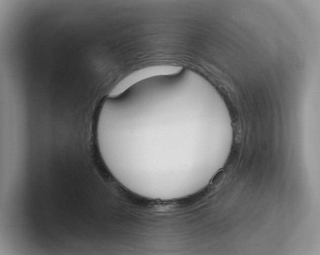 X0000101700560200807311434