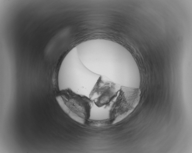 X0000101700561200807311434