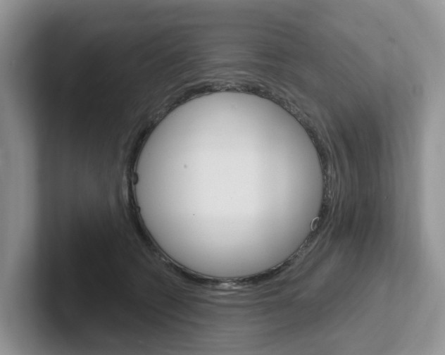 X0000101700562200807311434