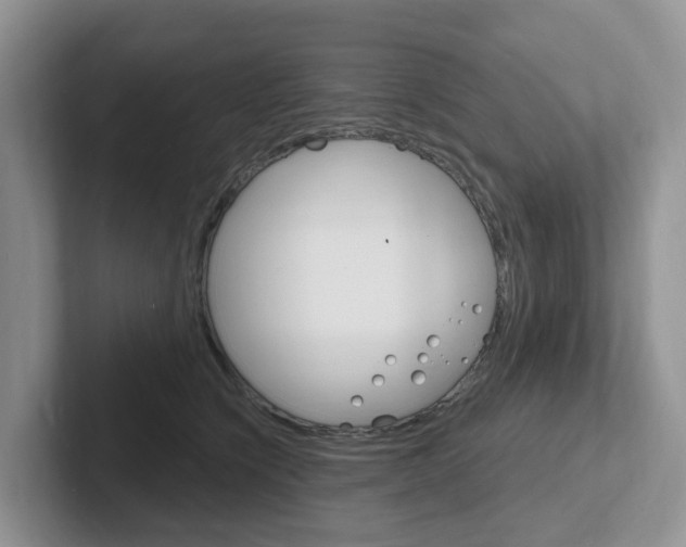 X0000101700564200807311434
